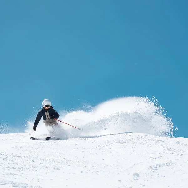 BLACK CROWS JUNIUS 23 - Image 6