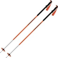 DYNAFIT TOUR POLE DAWN 22