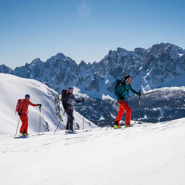 FISCHER TRANSALP 86 CARBON + DYNAFIT SPEED TURN BLUE - Image 4