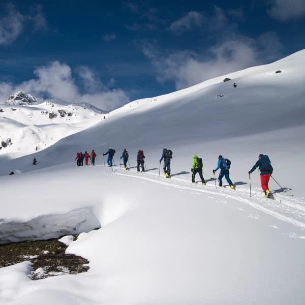 FISCHER TRANSALP 82 + DYNAFIT SPEED TURN BLUE - Image 3