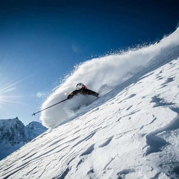 MOVEMENT GO 115 REVERSE TI 22 - Afbeelding 3